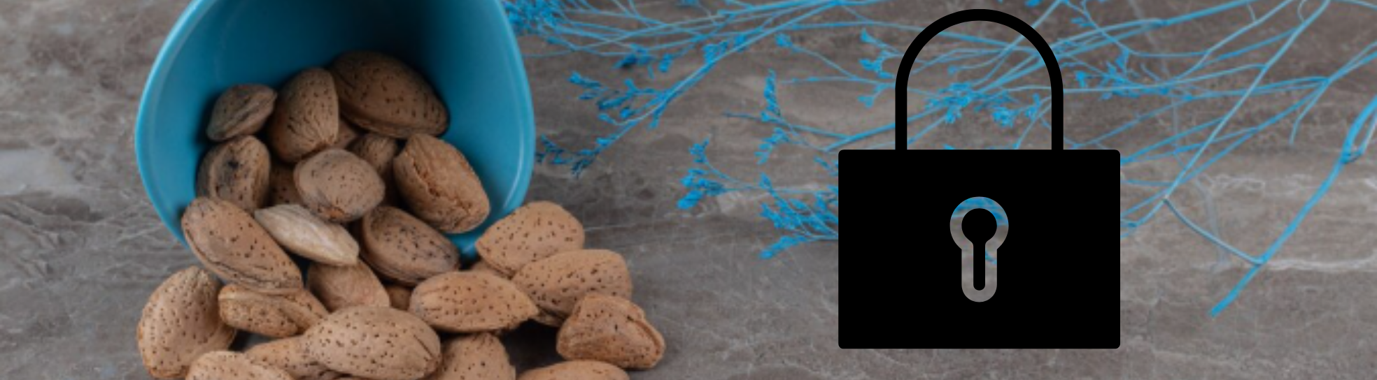 KVKK Information Text